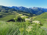 CORNO STELLA , panorami, monti, laghi, fiori, stambecchi-9lu25  - FOTOGALLERY